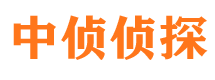 屏边捉小三公司